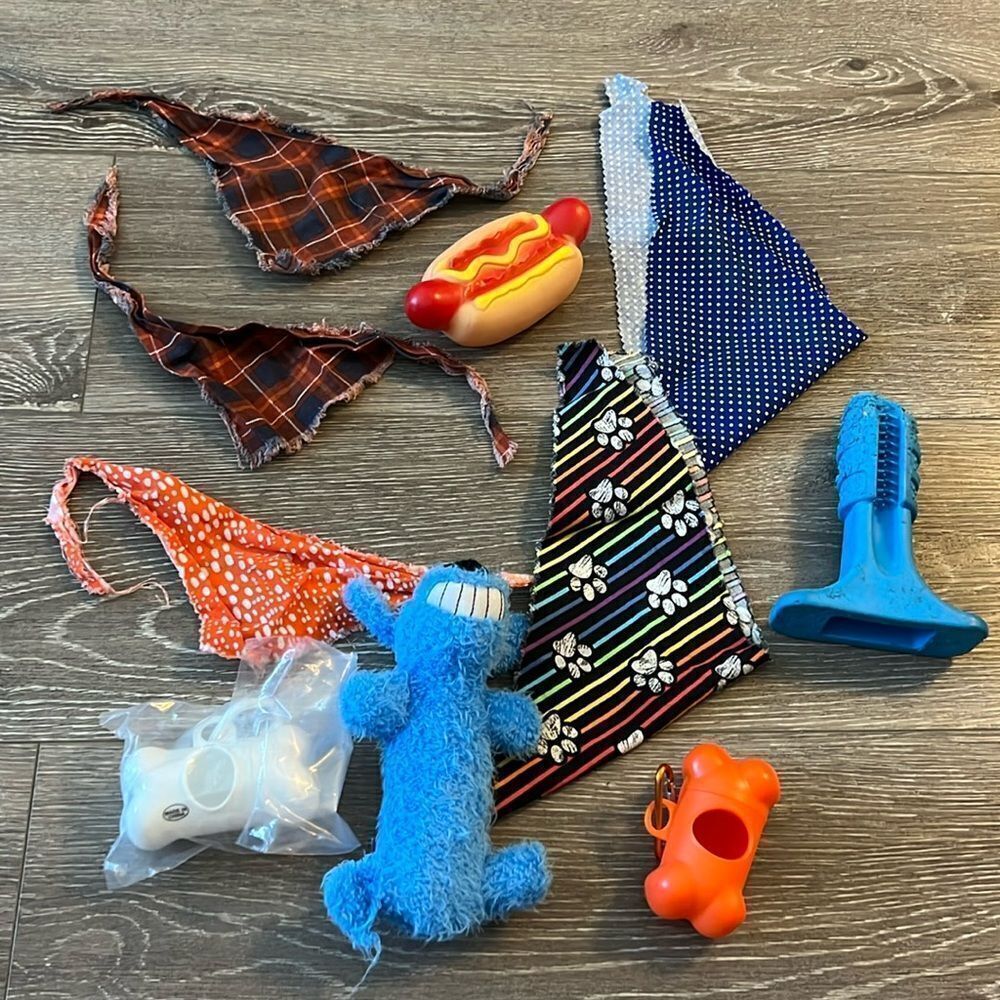 Dog Bundle Bandana & Toys